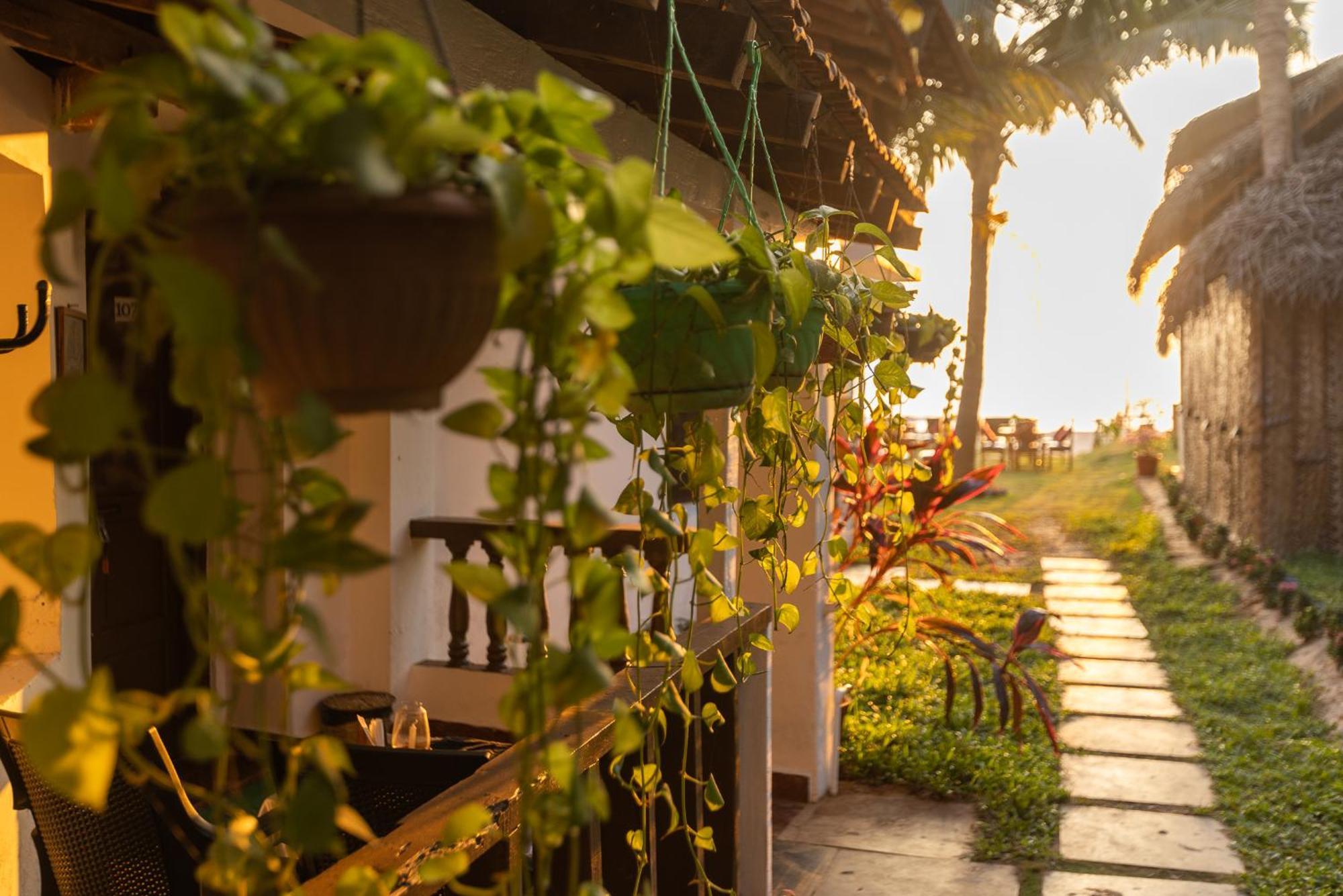 Forget Me Not Resort Agonda Exterior foto